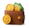 Money icon